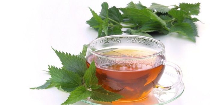 11 benefícios de saúde surpreendentes de chá de urtiga