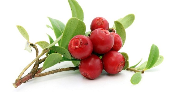 16 benefícios de saúde surpreendentes de Crowberries