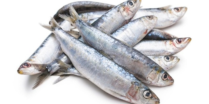 11 benefícios de saúde surpreendentes das sardinhas